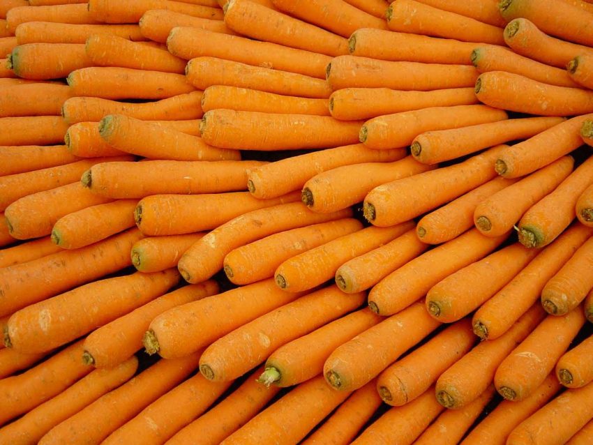 Carrots