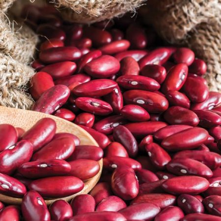 Kidney Beans